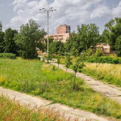 Łąka kwietna przed ASP w Łodzi, fot. ŁÓDŹ.PL