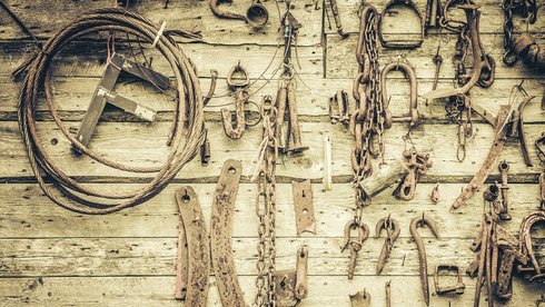 fot. Envato Elements