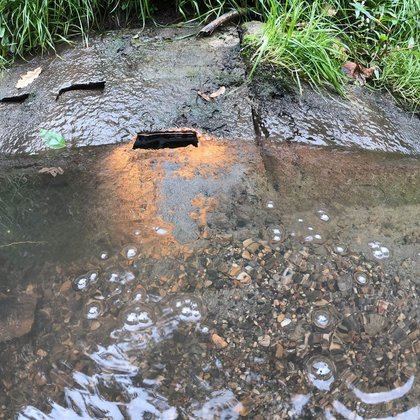 Źródełko w Parku nad Jasieniem, mat. ZWiK