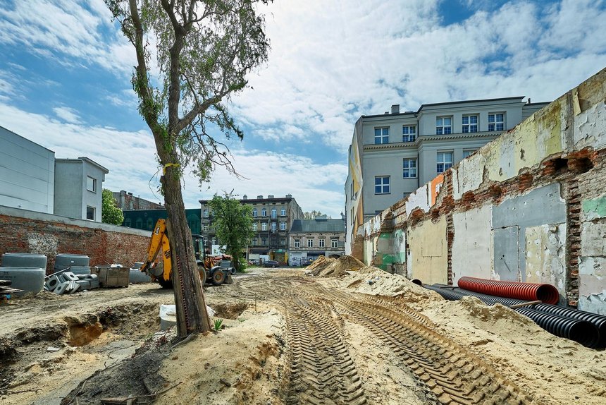 fot. Radosław Jóźwiak / UMŁ