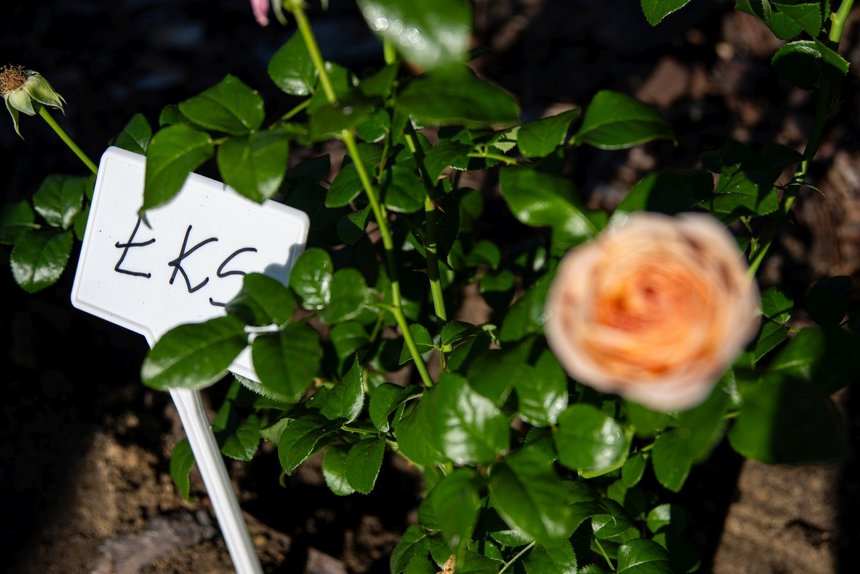 Współwłaściciel ŁKS ufundował sprzęt dla ICZMP