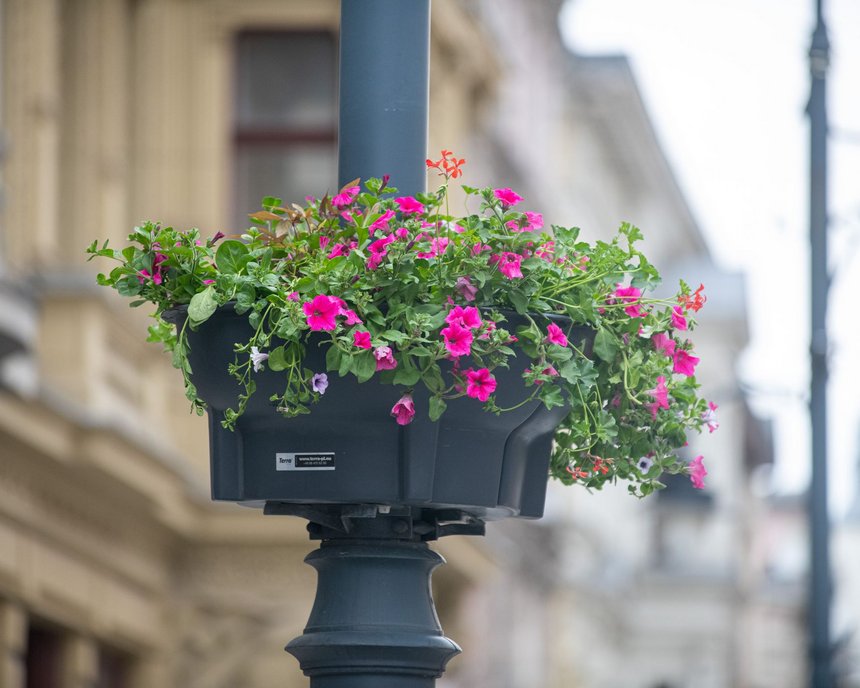 fot. ŁÓDŹ.PL