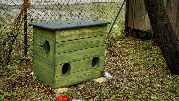 W Łodzi rozstawiane są domki dla wolno żyjących kotów - fot. Radosław Jóźwiak / UMŁ