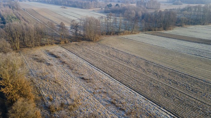 Tereny, na których postanie strefa przemysłowa Chocianowice - fot. ŁÓDŹ.PL
