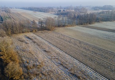 fot. ŁÓDŹ.PL