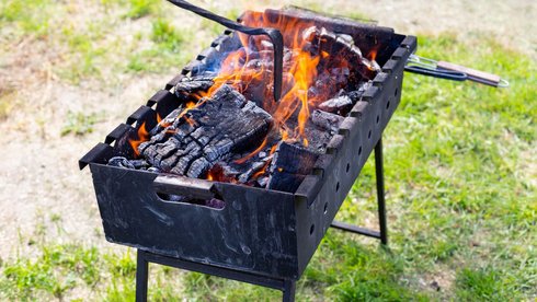 fot. Envato Elements