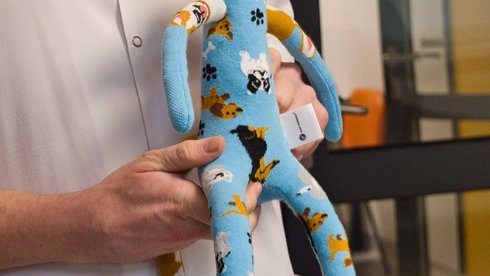 Na zdjęciu osoba w białym fartuchu trzyma miękką zabawkę. Zabawka jest jasnoniebieska, ma bardzo długie ręce i nogi, duże czarne oczy i uśmiech. Materiał ozdobiony jest wzorami psów, a uszy są kolorowe. Tło wygląda jak jasny korytarz z przeszklonymi drzwiami.