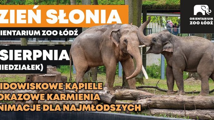  - Dzień Słonia w Orientarium Zoo Łódź