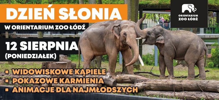 Dzień Słonia w Orientarium Zoo Łódź