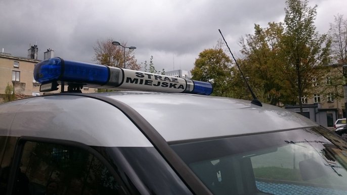 Działania patroli na terenie miasta 