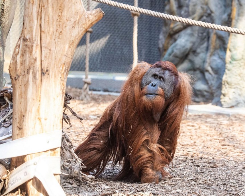 fot. Orientarium w Łodzi