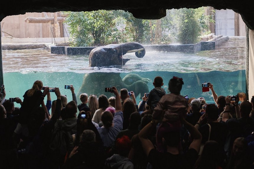 fot. Radosław Jóźwiak