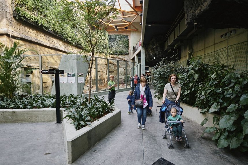 fot. Radosław Jóźwiak