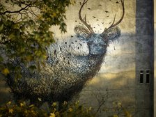 fot. Marek Szymański