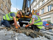 fot. Radosław Jóźwiak / UMŁ