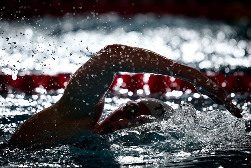 fot. mat. pras./Rafał Oleksiewicz