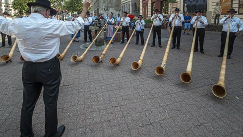 fot. Stefan Brajter / UMŁ