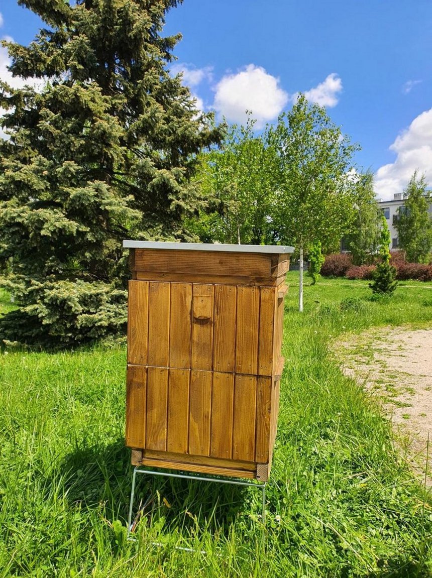 fot. Paweł Łacheta / UMŁ