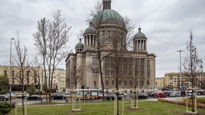 Trwają jesienne nasadzenia drzew wykonywane przez ZZM i ZIM - fot. Stefan Brajter / UMŁ