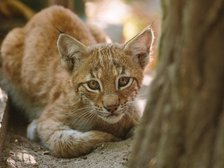 ZOO Łódź, fot. archiwum ZOO Łódź 