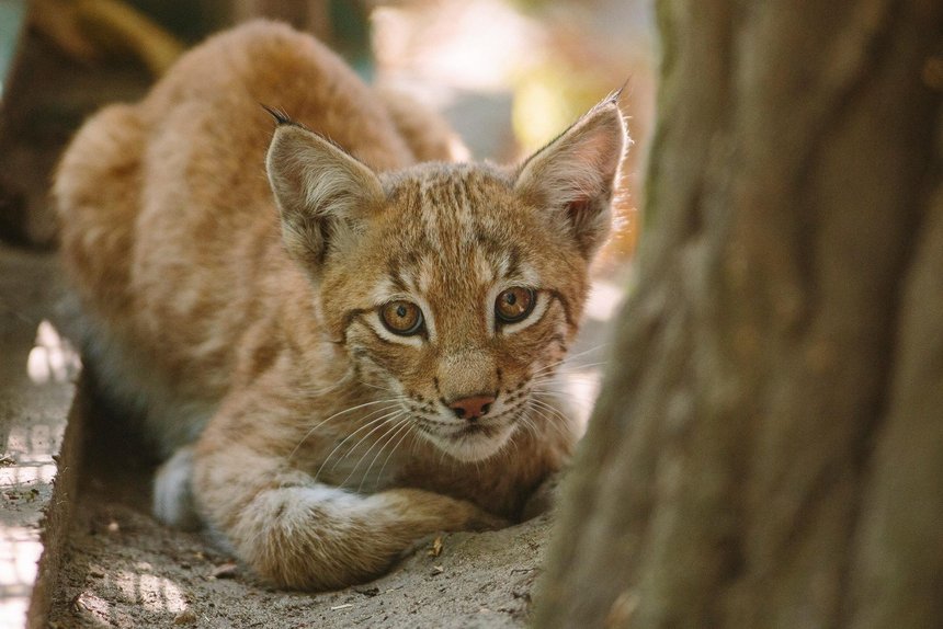 ZOO Łódź, fot. archiwum ZOO Łódź 