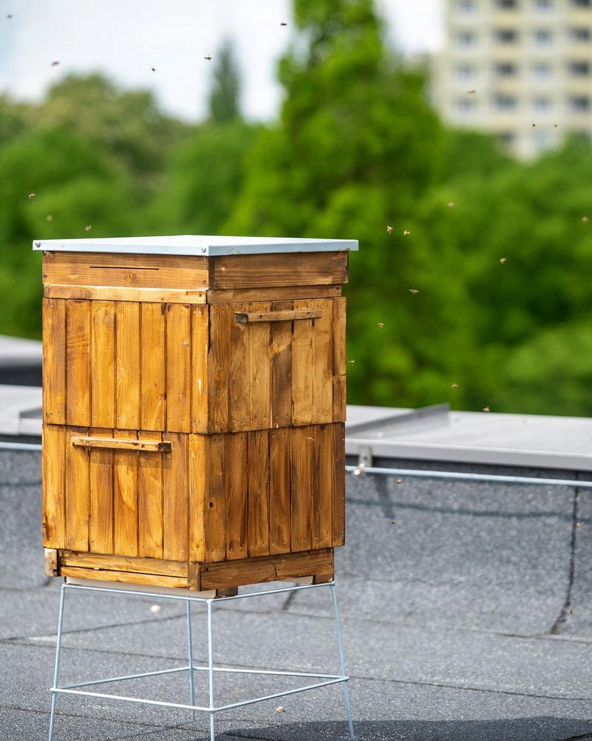 fot. Paweł Łacheta / UMŁ