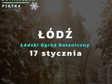 Plakat z zimowym, ciemnym tłem lasu. Na środku duży biały napis „ŁÓDŹ”, pod nim „Łódzki Ogród Botaniczny” oraz data „17 stycznia”. W lewym górnym rogu logo i napis „Botaniczna Piątka”. Jasny tekst wyraźnie kontrastuje z tłem.
