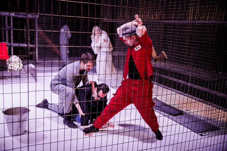 fot. K. Chmura-Cegiełkowska / mat. pras.