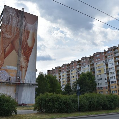 Mural na wieżowcach przy ul. Morcinka 2 i 4, Guido van Helten , fot. ŁÓDŹ.PL