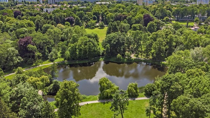 Zakres opracowania obejmuje standardy projektowania, zakładania, a następnie utrzymania zieleni miejskiej - fot. Stefan Brajter / UMŁ