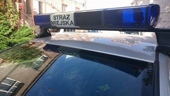 Działania patroli w służbie 