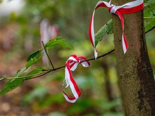 Fot. P. Wacławiak, UMŁ. 