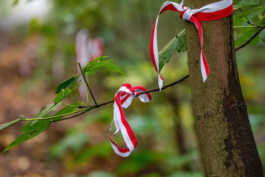 Fot. P. Wacławiak, UMŁ. 