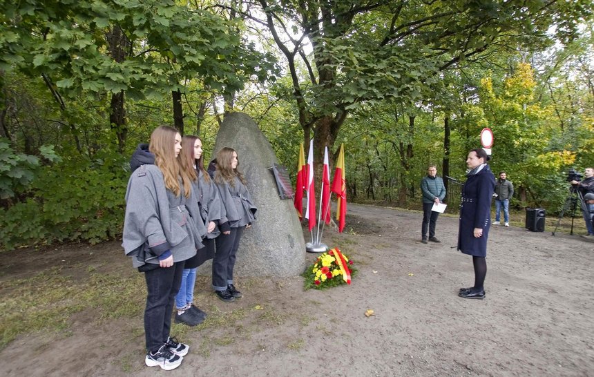 Fot. Andrzej Janecki/UMŁ