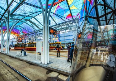 Witold Ancerowicz - UMŁ