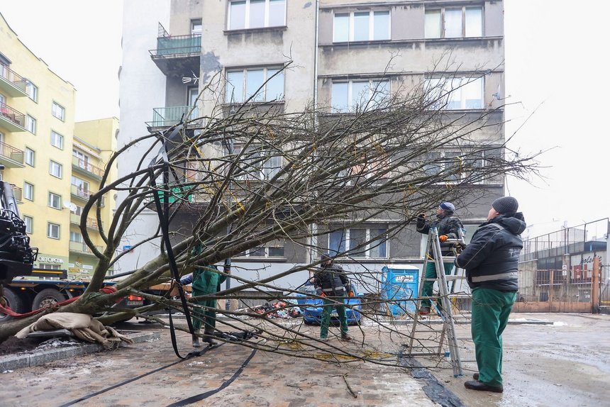 fot. Konrad Ciężki