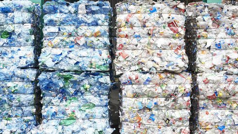 fot. Radosław Jóźwiak / Archiwum UMŁ