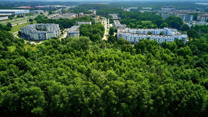 Park na Janowie - fot. Radosław Jóźwiak