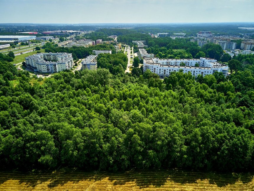 fot. Radosław Jóźwiak