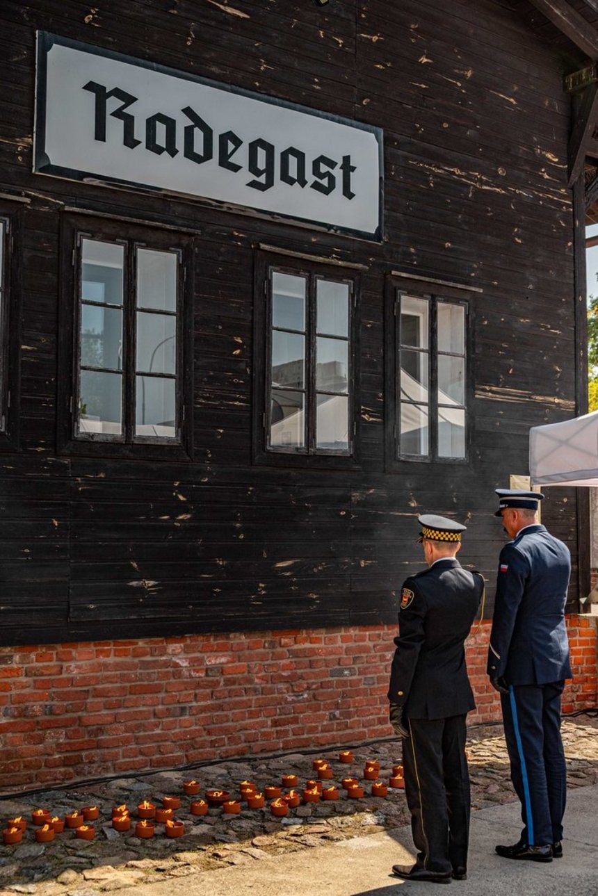 Fot. P. Wacławiak, UMŁ. 