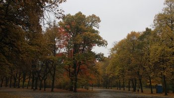 Park Poniatowskiego  