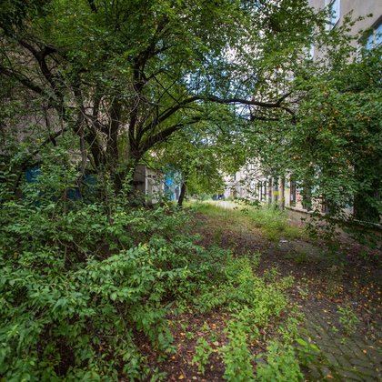 Piotrkowska 118, fot. LODZ.PL