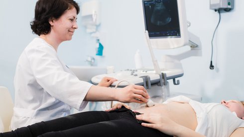 fot. Envato Elements