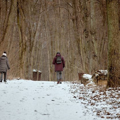 Las Łagiewnicki zimą , fot. ŁÓDŹ.PL