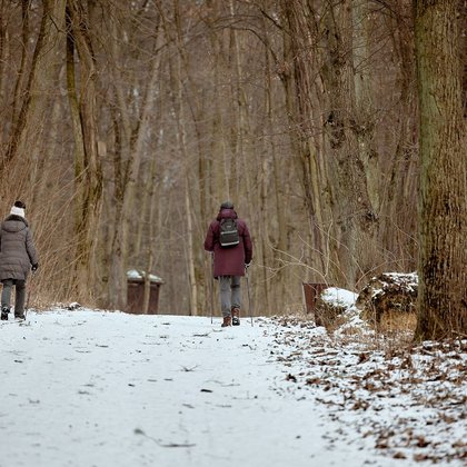 Las Łagiewnicki zimą, fot. ŁÓDŹ.PL