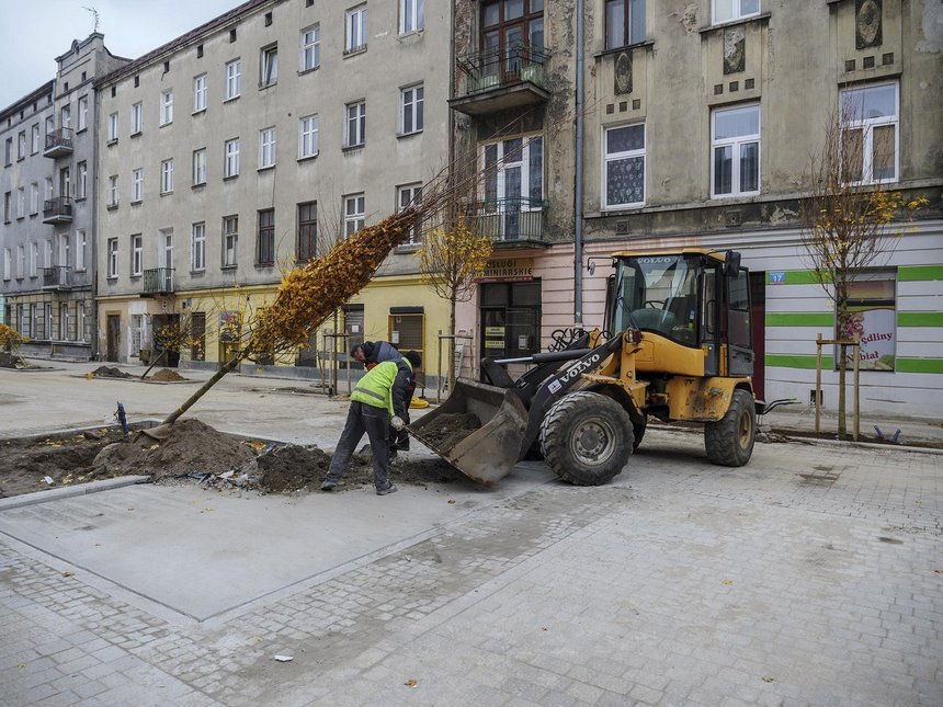 fot. Stefan Brajter / UMŁ