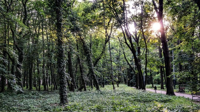 Klimatczny park im. Tadeusza Rejtana w Łodzi, znajduje się pomiędzy ulicami Piękną, Rejtana, Felsztyńskiego oraz al. Politechniki. - fot. Archiwum UMŁ