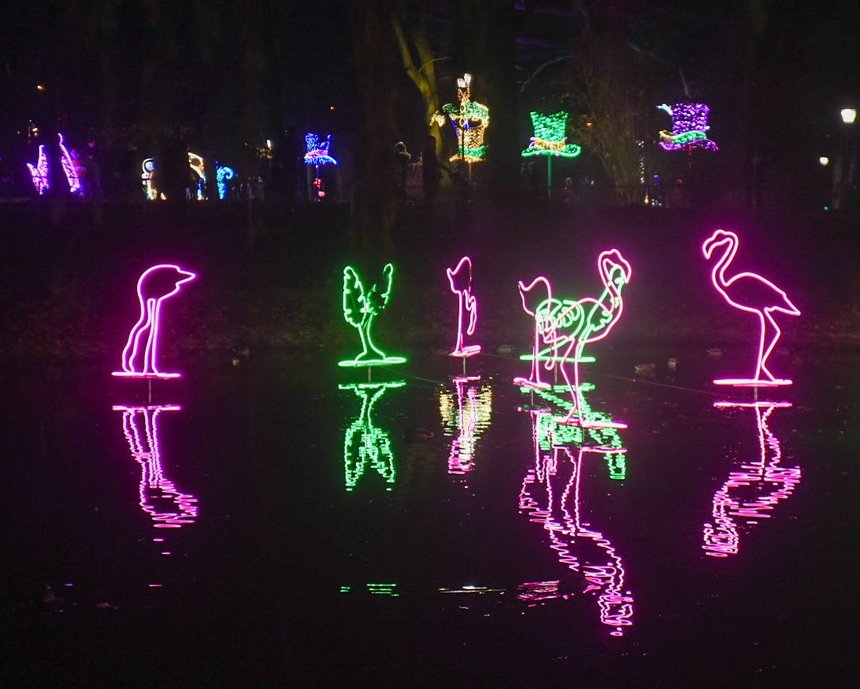 fot. Paweł Łacheta