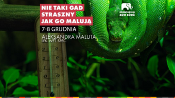  -  Warsztaty weterynaryjne - Nie taki gad straszny jak go malują w Orientarium Zoo Łódź