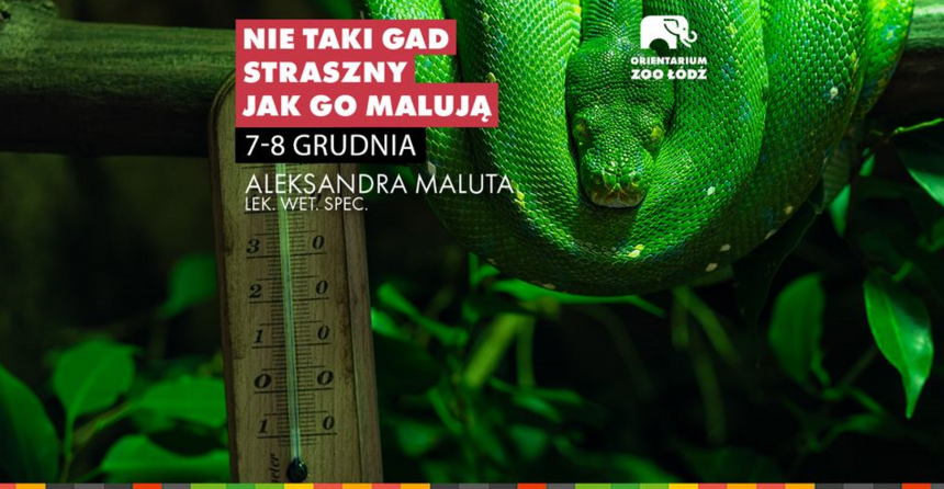 Warsztaty weterynaryjne - Nie taki gad straszny jak go malują w Orientarium Zoo Łódź